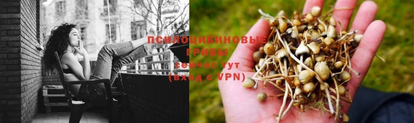 2c-b Богородск