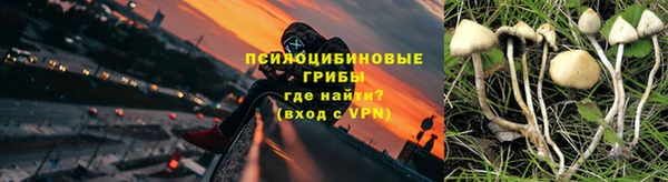 2c-b Богородск