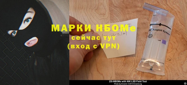 apvp Бородино